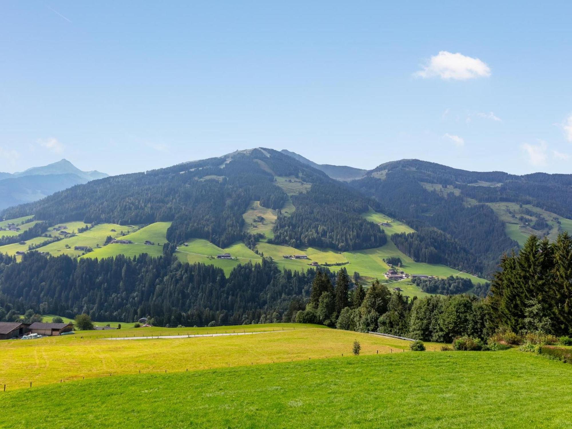 Haus Fernwald Top Rens Alpbach Ngoại thất bức ảnh